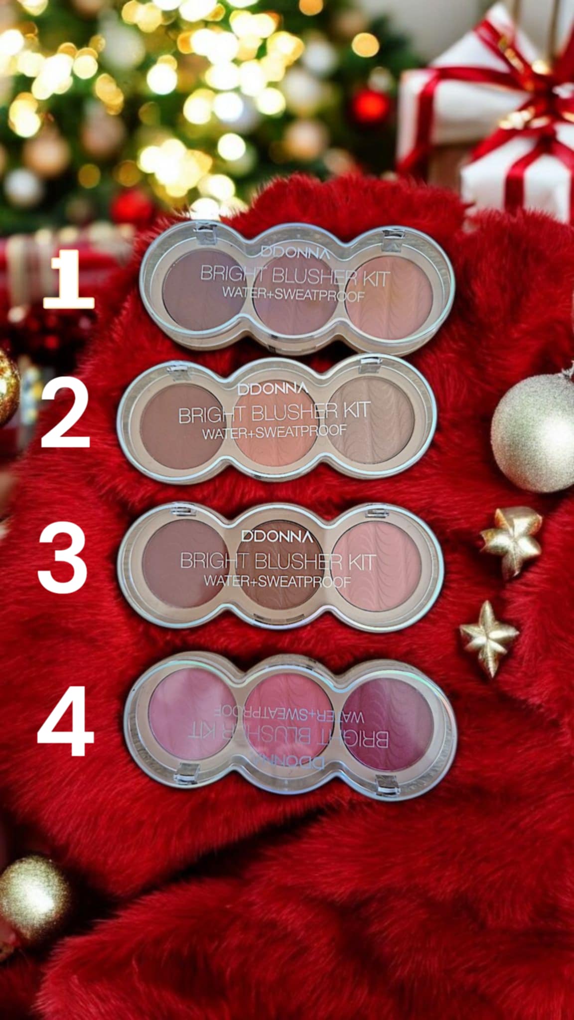 KIT FARDS À JOUES D'DONNA